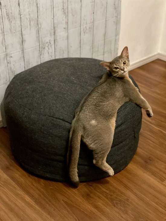 FullSizeRender