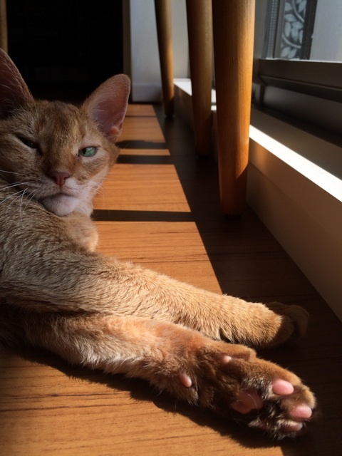 {68278B2F-2754-4F7B-AB92-91A1EBB694EB:01}