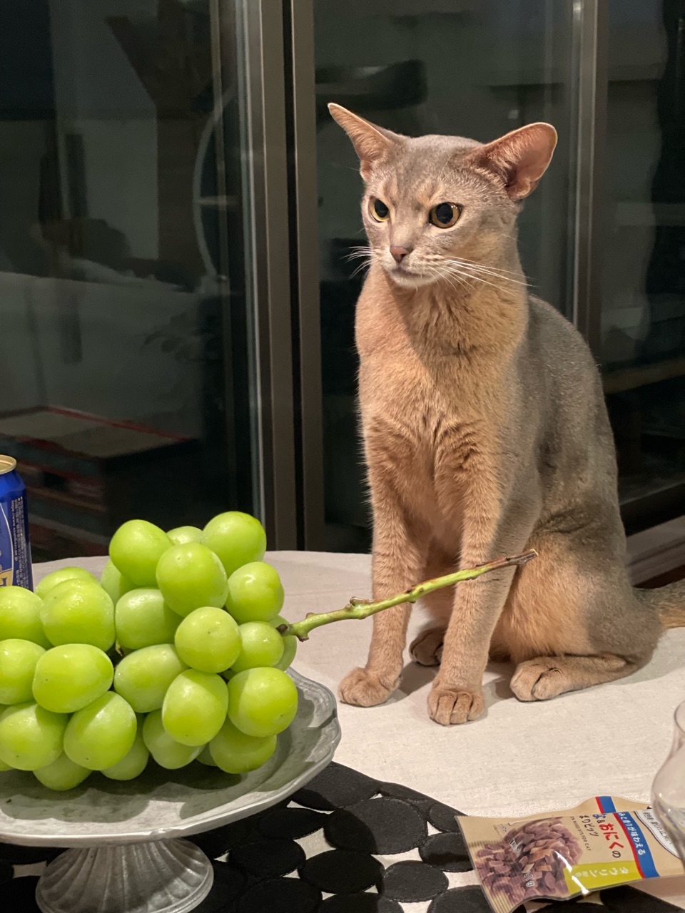 ☆MARI様専用☆カラフルねこ(猫(焦げ茶×茶)×かご盛りシャイン