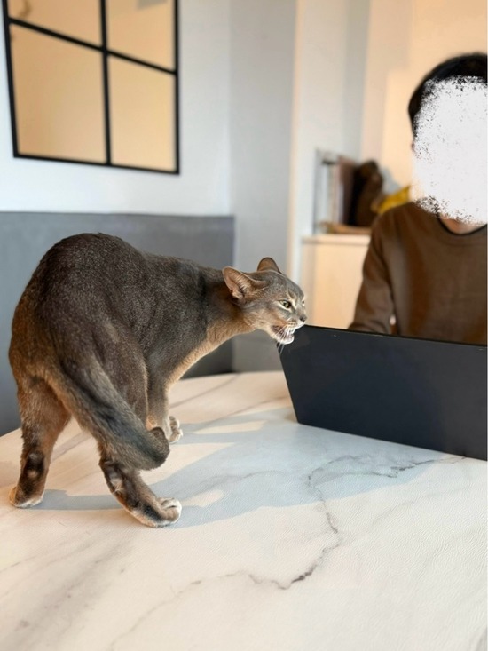 FullSizeRender