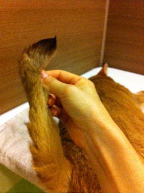 photo:03