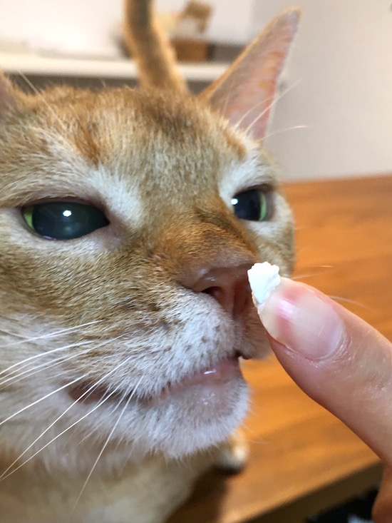 IMG_0258