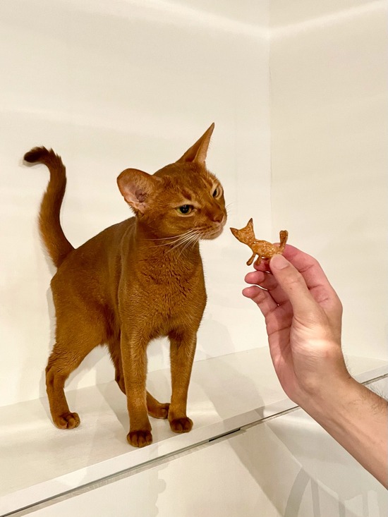 FullSizeRender