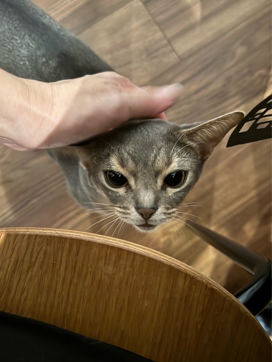 FullSizeRender
