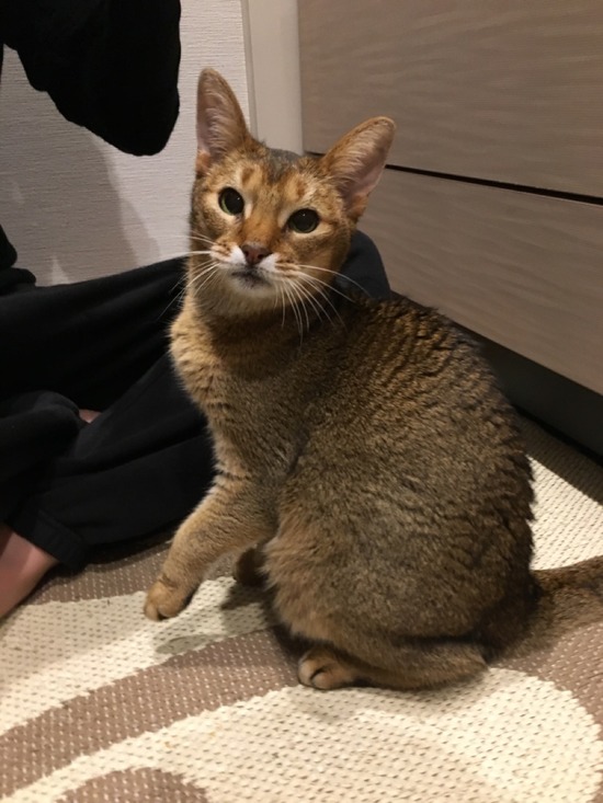 47F283D3-19DA-4A94-886A-51CEE1F78D00