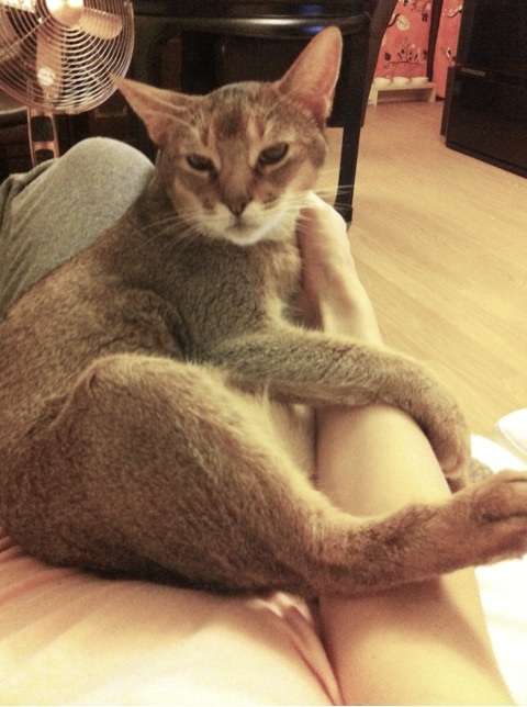 {35CE7FE0-FA43-46A1-9570-87C4ED71DB2B:01}