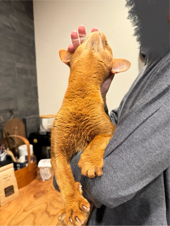FullSizeRender