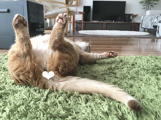 5B9A1B50-32AB-458A-A480-3A84990F384F