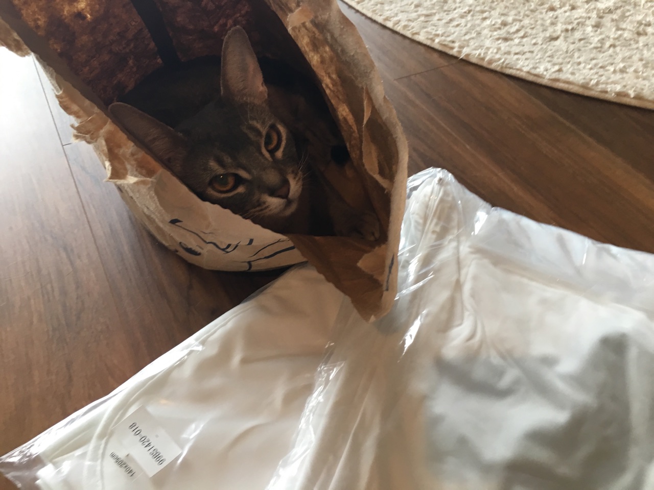 防水アンダー効果絶大でした おうちごはんとおかしとねこ Powered By ライブドアブログ