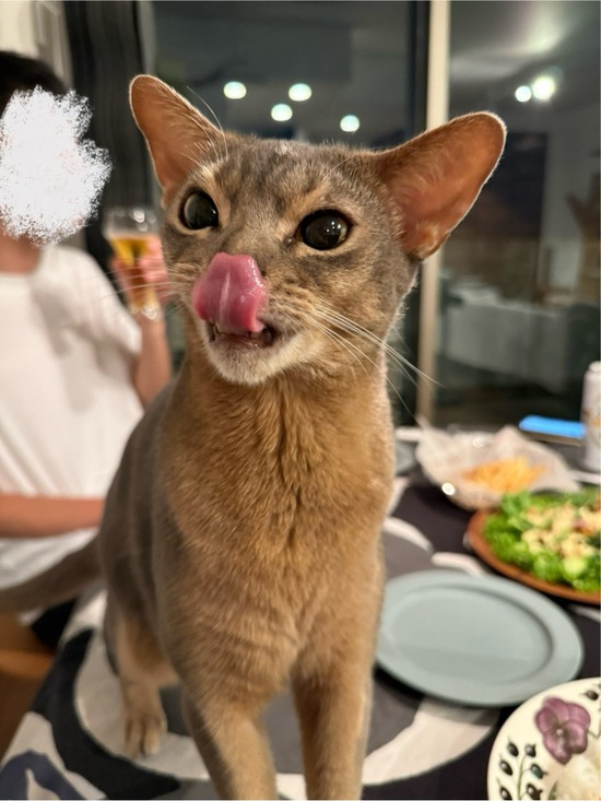 FullSizeRender