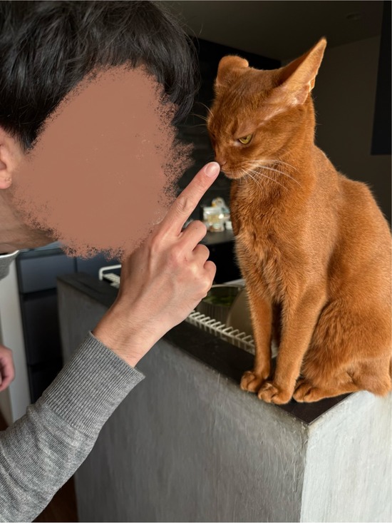 FullSizeRender