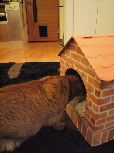 Joli!joli!のブログ-おうち３