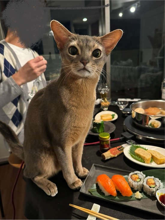 FullSizeRender