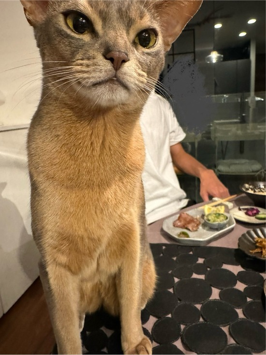 FullSizeRender