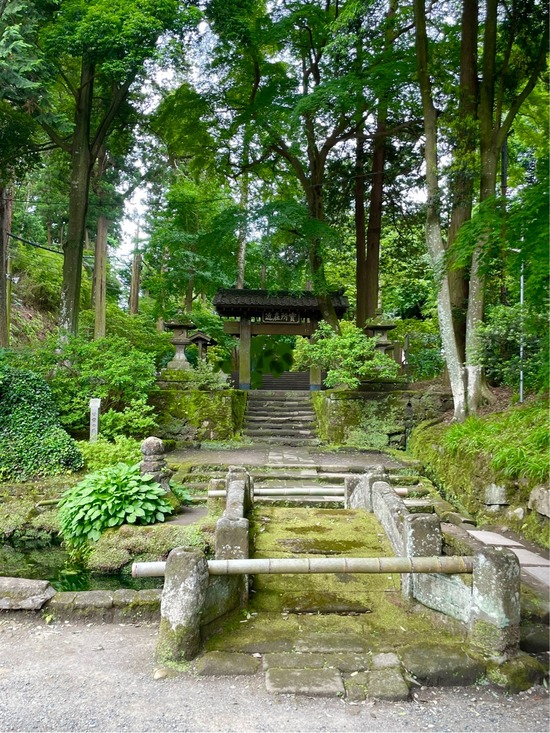FullSizeRender