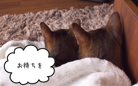 PB150985 のコピー