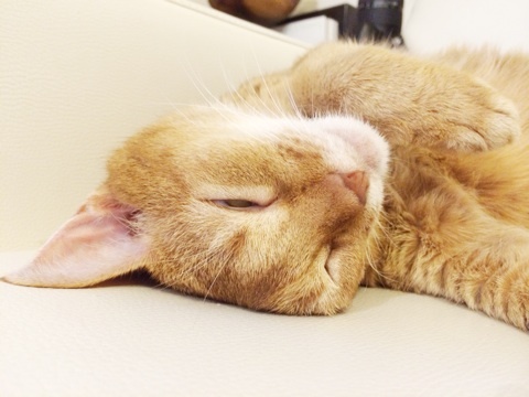 {9A1EA669-5812-4F38-83A2-AE37236C2B90:01}