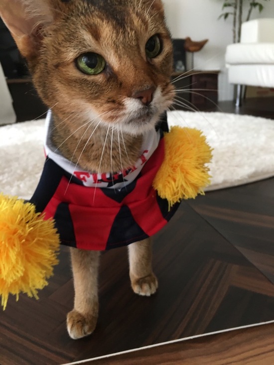 664A40AF-DC2C-4D5A-A99D-1B9EEBE11D88