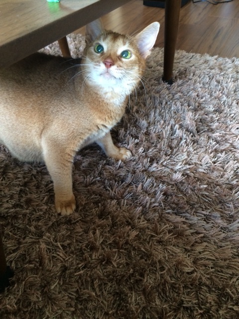 {CFB6EC34-BB84-4C4D-BDA1-79BD26A5AB74:01}