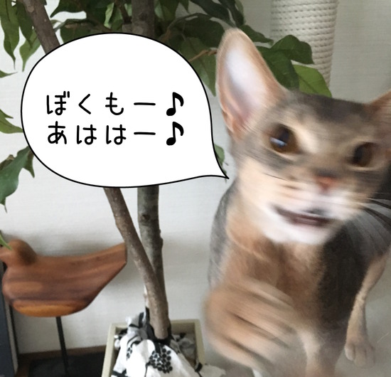 IMG_7490 のコピー