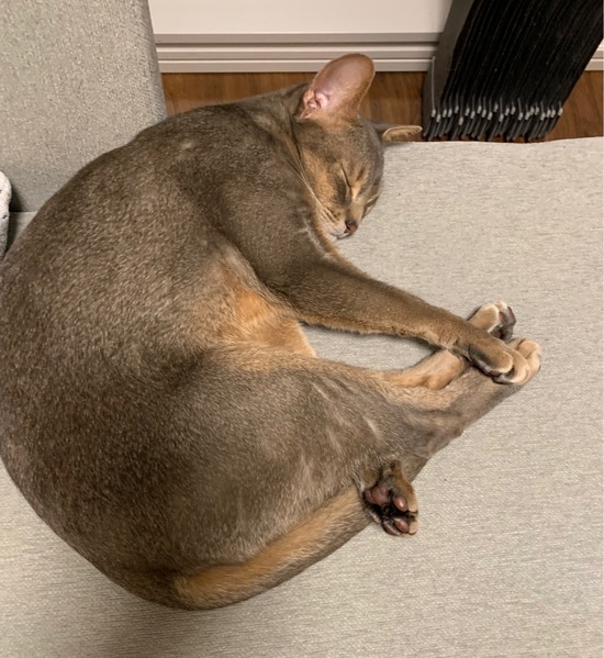 FullSizeRender