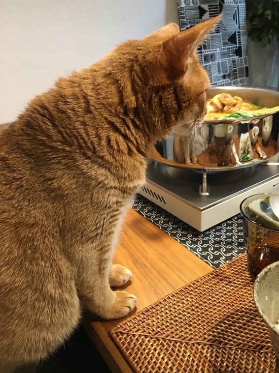 09B04FBD-B9AB-416D-A33E-5589D8326316