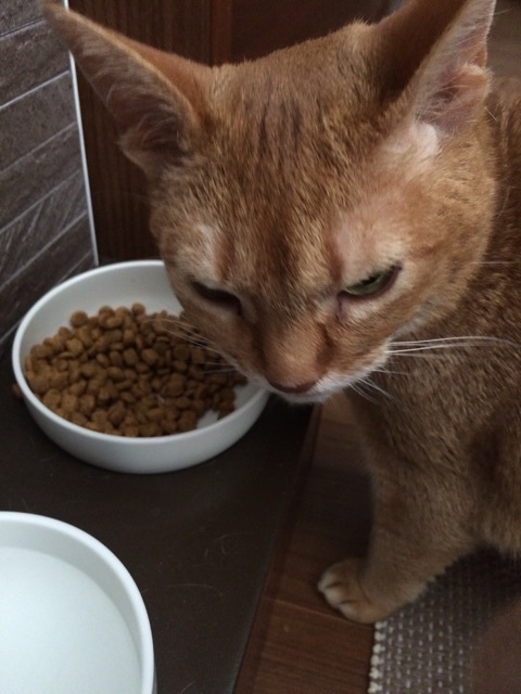 {2E395620-1D83-4AE2-AC25-444493BD0C63:01}