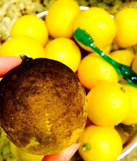 {16C4427C-4AD1-42A7-A5D8-3270D3425EC7:01}