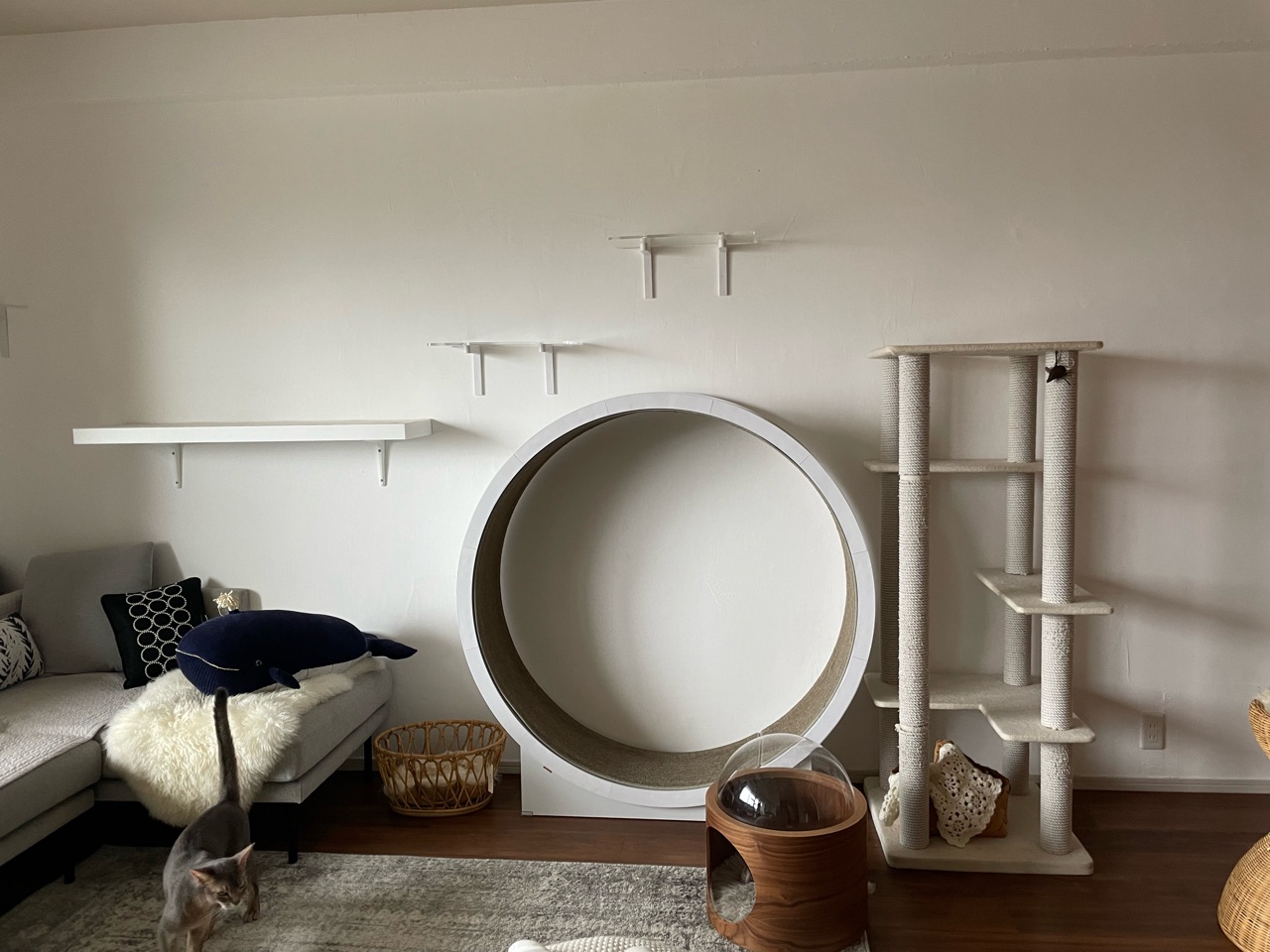 模様替え】IKEAのキャットタワーをリビングに設置 : おうちごはんと