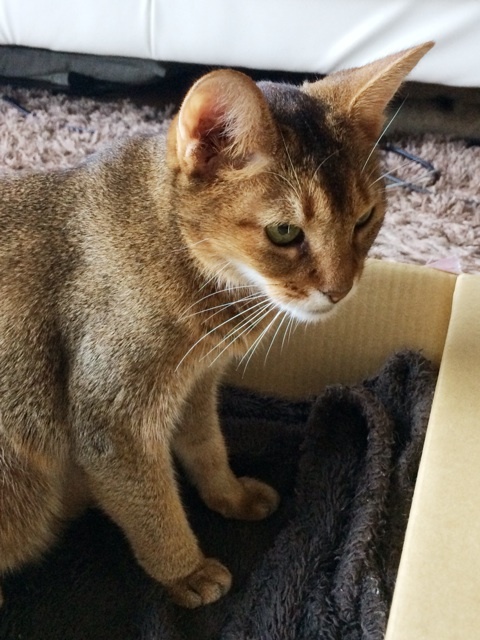 {8C739ED6-85CA-455D-A226-5769FFE3FB9F:01}