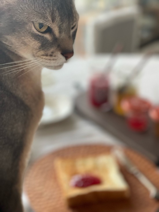 FullSizeRender