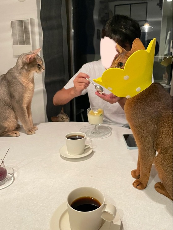 FullSizeRender