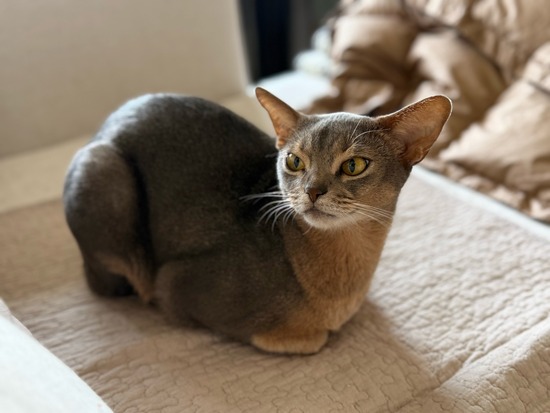 FullSizeRender