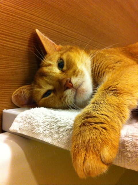 photo:05