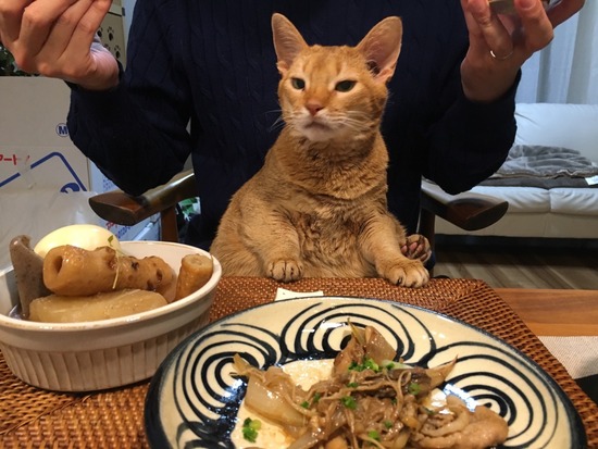 BFC1E899-EAD0-4A12-AB6A-763425668FA9