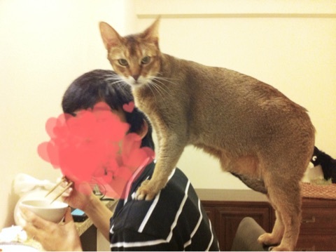 {F275BA01-8CA0-4E83-886D-D744AD201968:01}