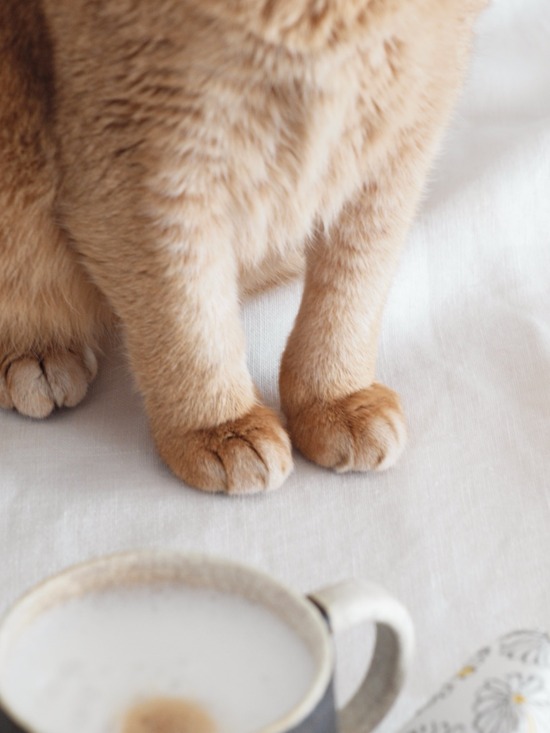 41E78CE8-035B-47E3-A2BA-310C1FA1290C