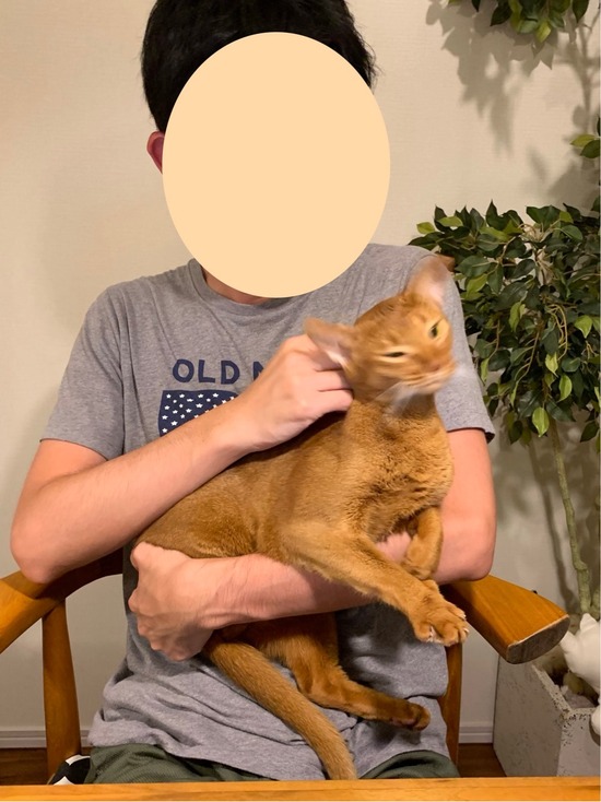 FullSizeRender