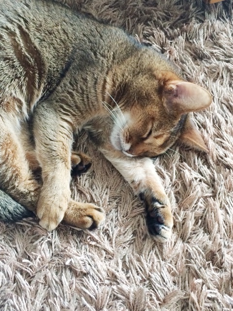 {C2BE838E-B46B-4BF4-BA7B-344B3AD2744C:01}