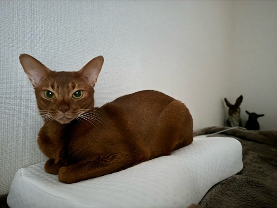 FullSizeRender