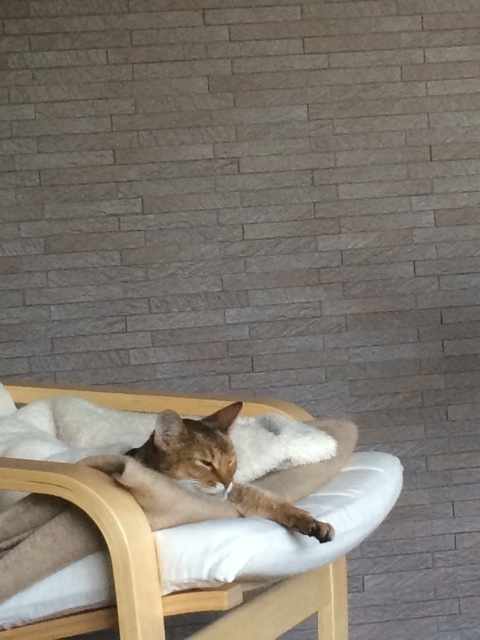 {434F1C03-0A14-4F30-9828-C8D892C65783:01}