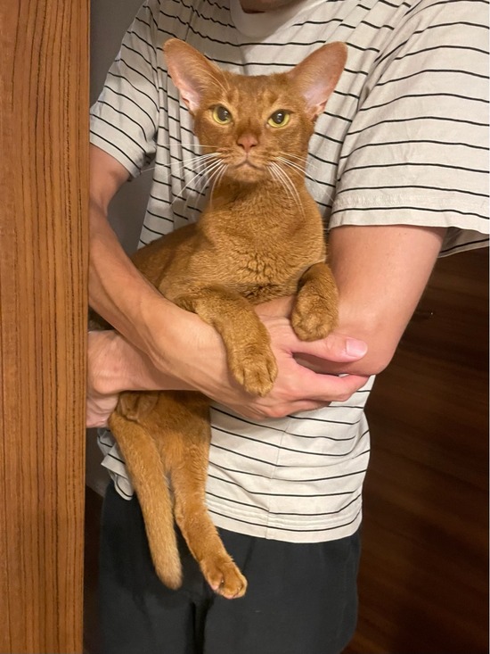 FullSizeRender