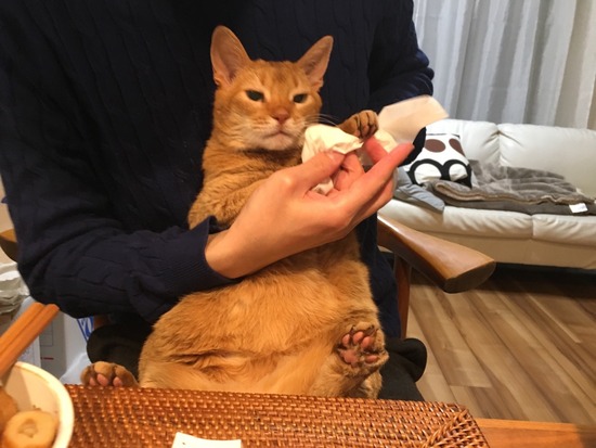 E4108DA9-EC4C-4964-B25D-BAAEFAA02908