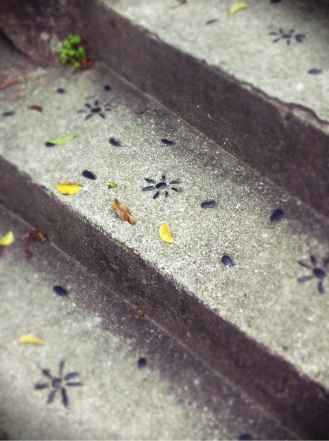 photo:05