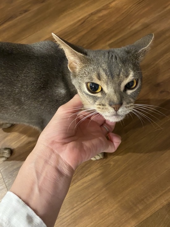FullSizeRender