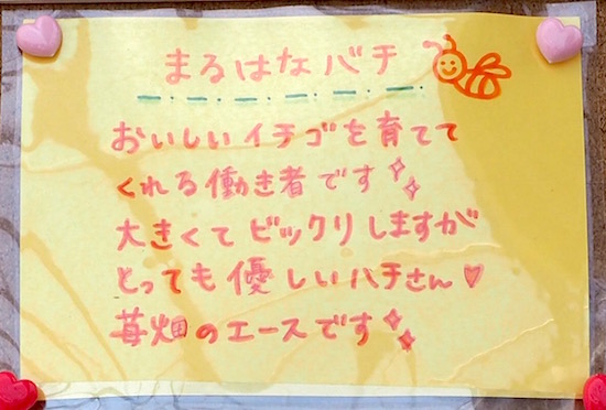 P3102740 のコピー 3