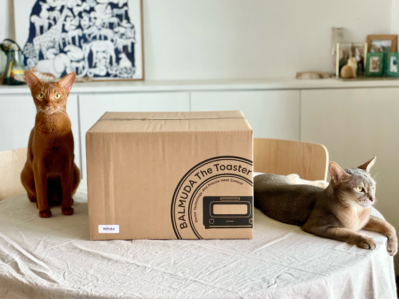 バルミョーダ　トースター　2015製　数回使用 使い方 | BALMUDA The Toaster | BALMUDA（バルミューダ）公式サイト