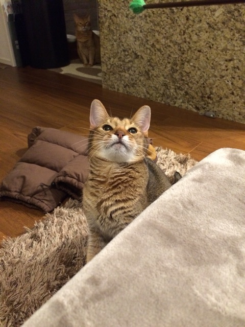 {A100124A-C4E5-4C67-BBFF-45FCC2D52FD3:01}