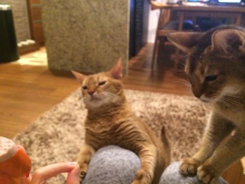 {8044A09D-A7A1-47F1-819C-5892E8CBC2BB:01}