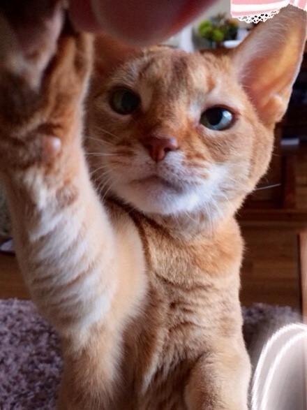 {B765859F-13CD-4DC1-9A07-9CEB58873B43:01}